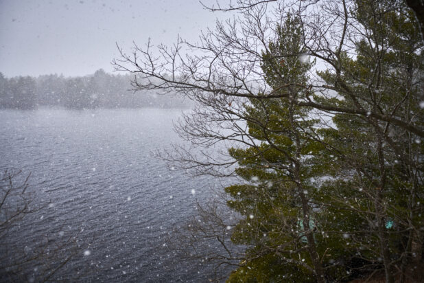 Aerial View Through Pine Trees of a Lake During Winter with Flurries in Cottage Country, Ontario, Canada - Variation
