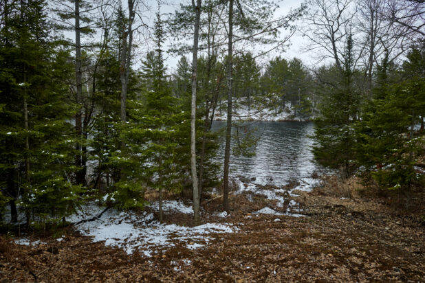 Forest of Evergreens Surrounding a Large Lake in Cottage Country During Winter in Ontario, Canada