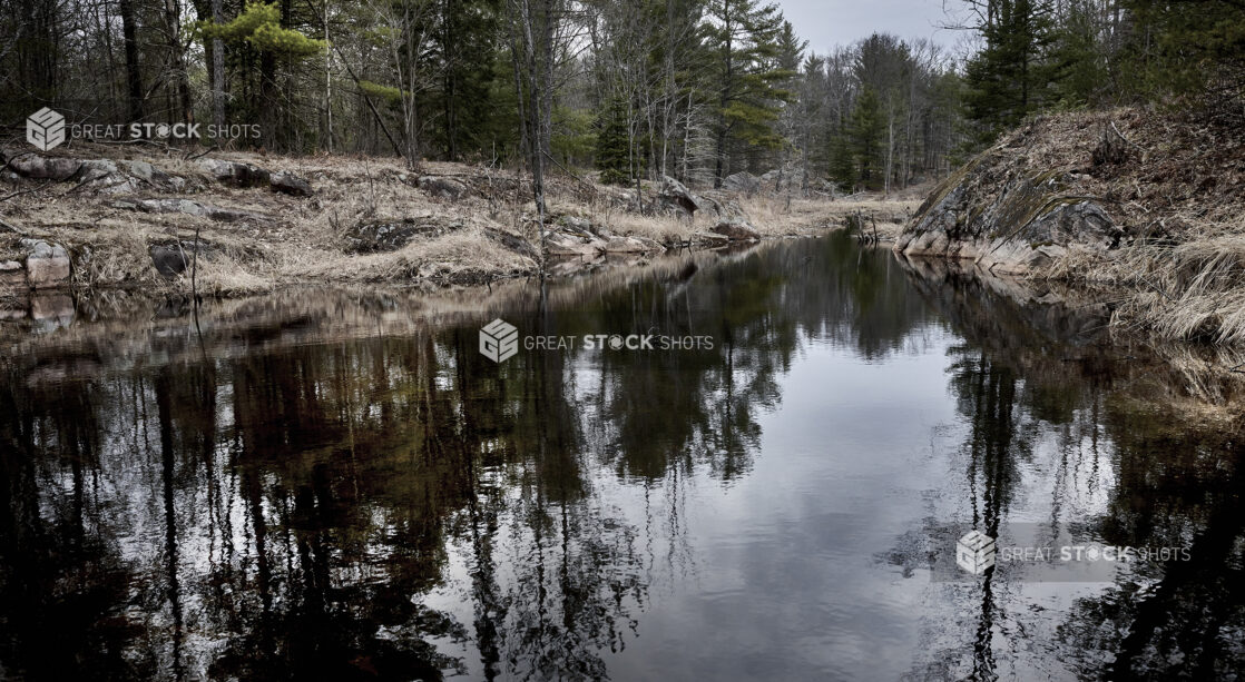 A Pine Tree-Lined Serene River During Wintertime in Cottage Country in Ontario, Canada