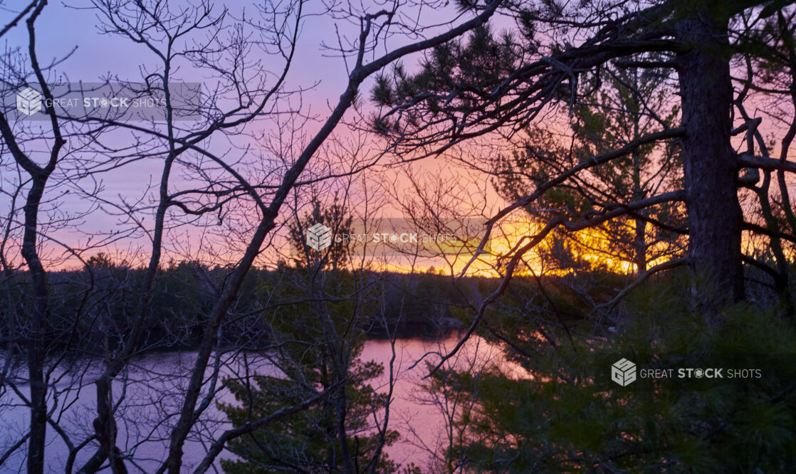 Silhouettes of Trees Against a Colourful Sky at Sunset During Winter in Cottage Country in Ontario, Canada