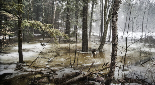 Wooded Area Flooded with Melting Snow During Winter in Cottage Country, Ontario, Canada - Variation