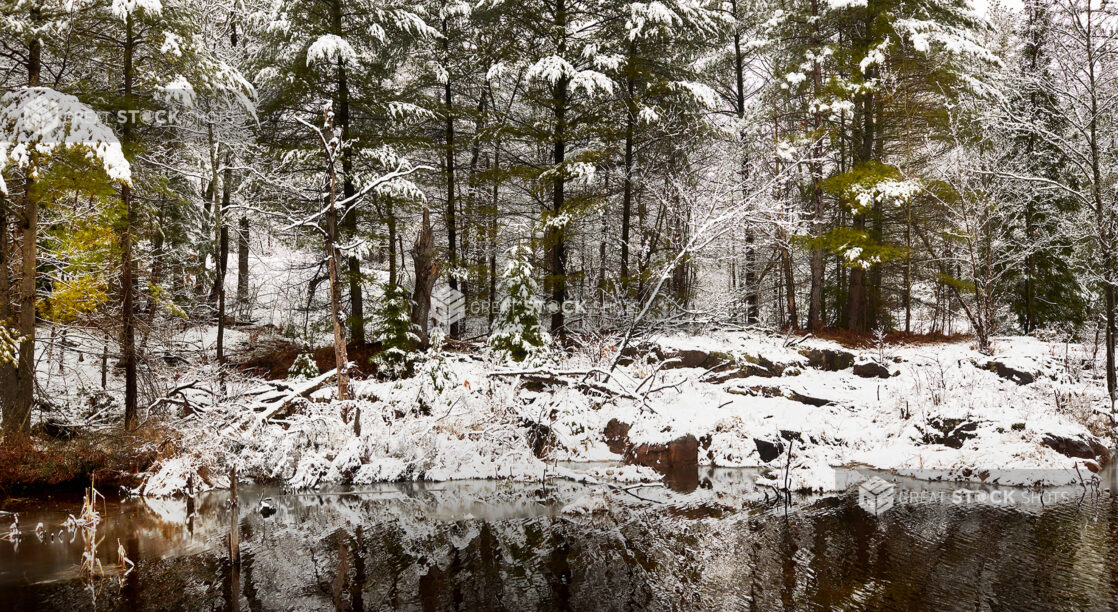 View of Snow-Covered Trees and Ground from a Lake During Winters in Cottage Country, Ontario, Canada