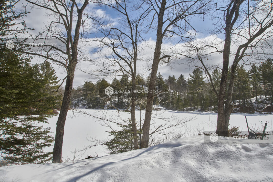 View of a Snowy Field Through Bare Trees in Cottage Country, Ontario, Canada