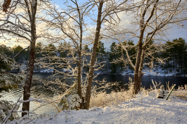 Winter Landscape with Snowy Trees Overlooking a Lake at Sunrise in Cottage Country in Ontario, Canada