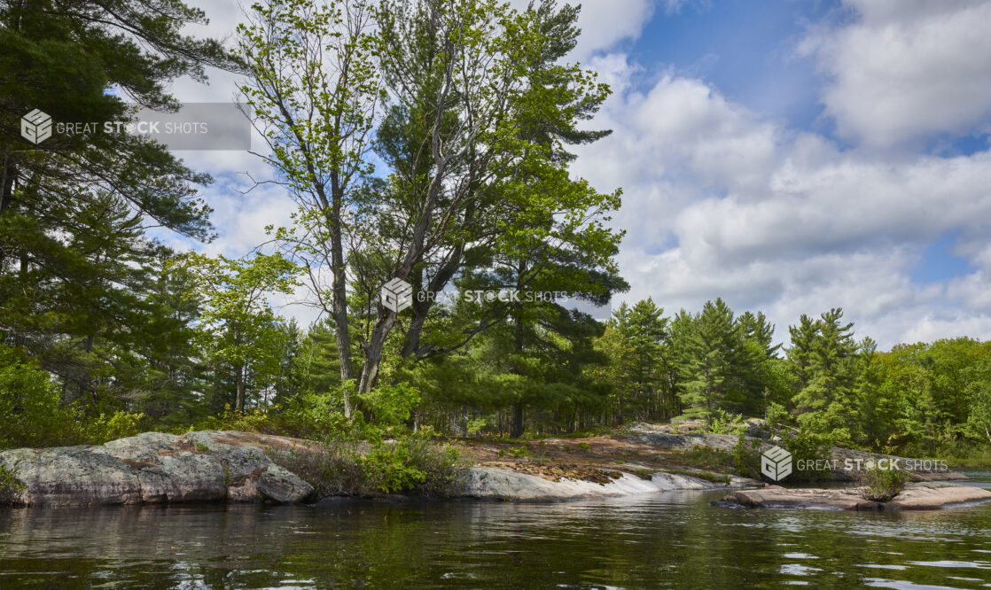 View From a Lake to the Edge of an Evergreen Forest in Cottage Country, Ontario, Canada