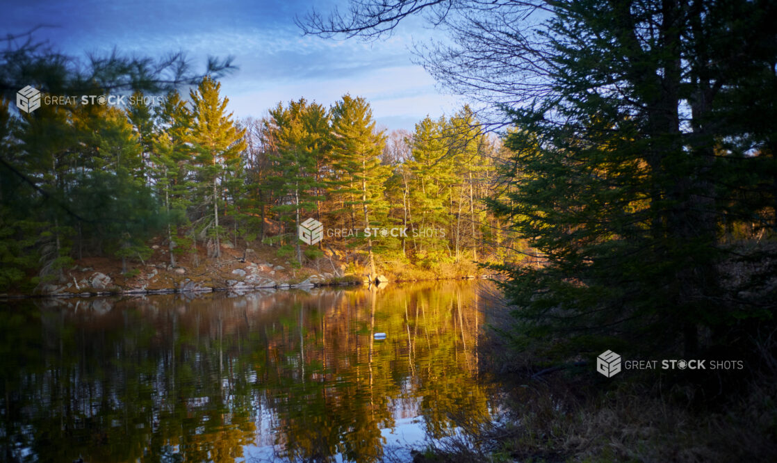 Sunrise Shining on a Forest of Evergreens Reflected in a Serene Lake in Cottage Country in Ontario, Canada