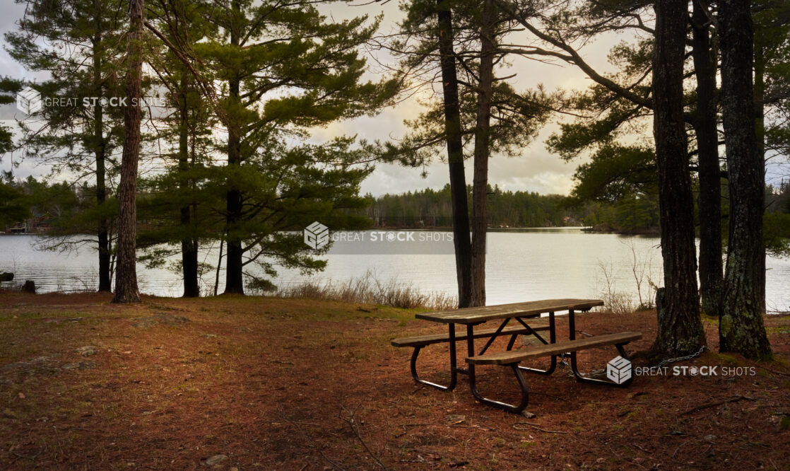 Picnic Table Surrounded by Evergreens on a Pine Needle-Covered Hill Overlooking a Lake in Cottage Country in Ontario, Canada