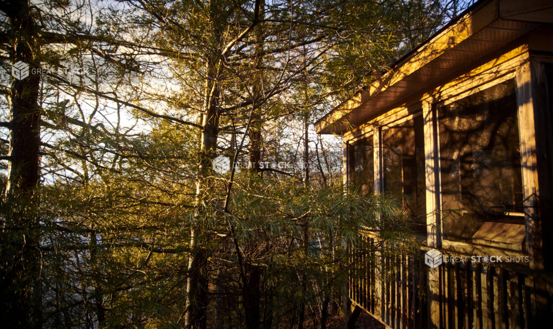 Covered Deck of a Cottage Surrounded by Pine Trees in Cottage Country, Ontario, Canada