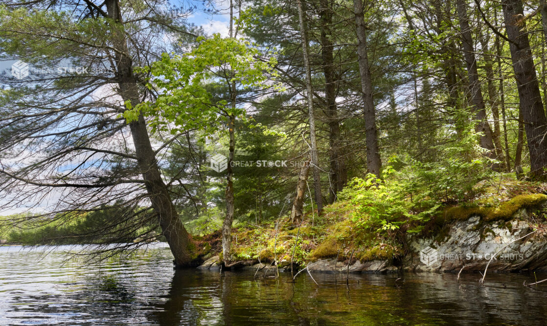 Rocky Hillside Covered in Moss and Trees on the Edge of a Lake in Cottage Country, Ontario, Canada