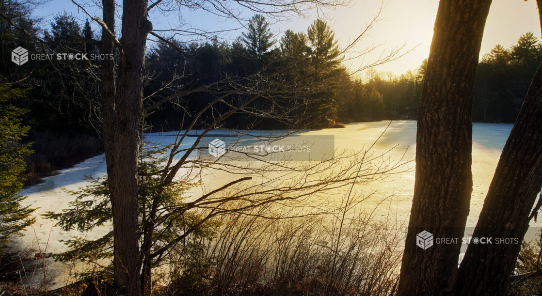 View of a Frozen, Ice-Covered Lake Surrounded by a Forest of Evergreens at Sunset During Winter in Cottage Country, Ontario, Canada