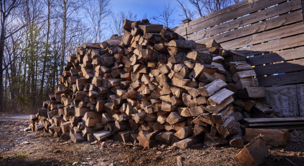 Logs for Wood-Burning Stoves Piled High for Winter Storage Against a Wooden Fence in Cottage Country, Ontario, Canada