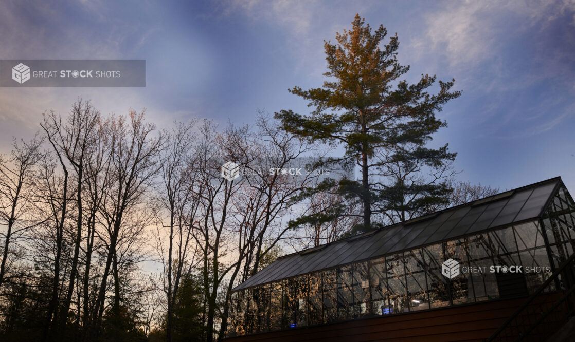 Low Angle View Up to a Glass Greenhouse Surrounded by Trees at Wintertime in Ontario, Canada