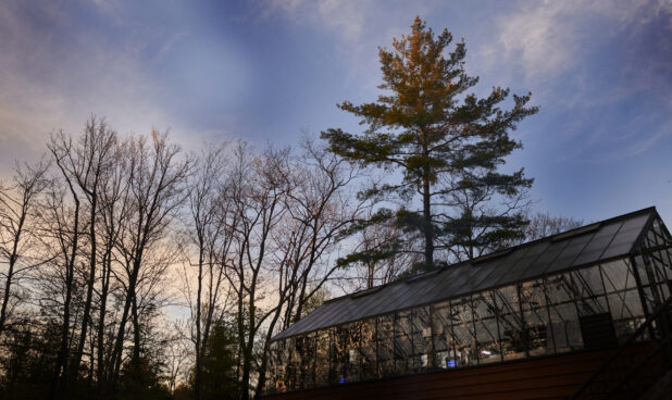 Low Angle View Up to a Glass Greenhouse Surrounded by Trees at Wintertime in Ontario, Canada