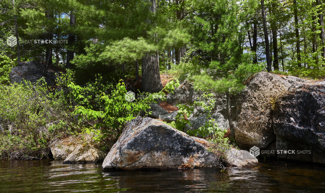 A Boulder and Tree-Line Shore of a Lake in Cottage Country, Ontario, Canada