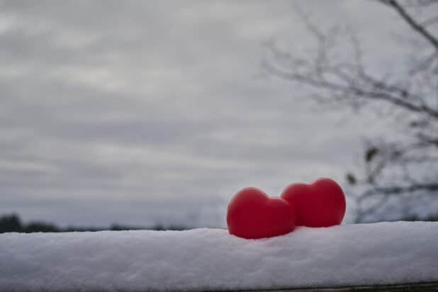 Red Heart Decorations Embedded in Snow Against a Winter Backdrop in an Outdoor Setting