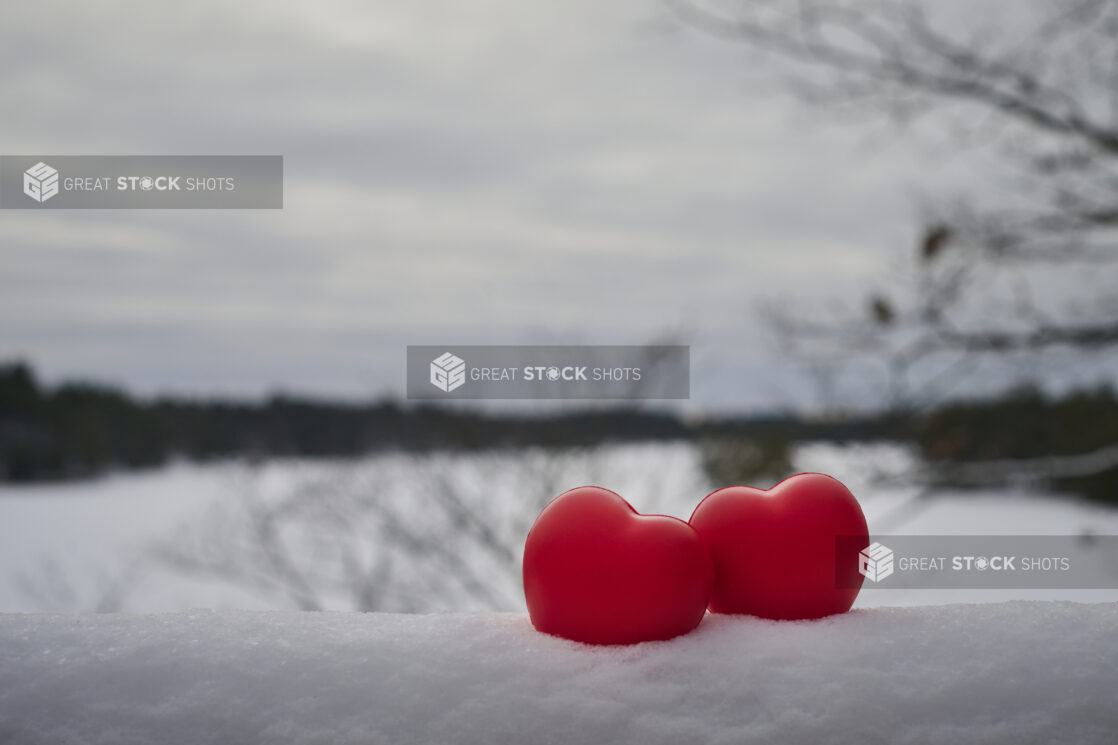 Red Heart Decorations Embedded in Snow Against a Winter Backdrop in an Outdoor Setting - Variation