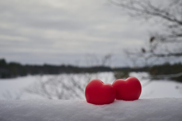Red Heart Decorations Embedded in Snow Against a Winter Backdrop in an Outdoor Setting - Variation
