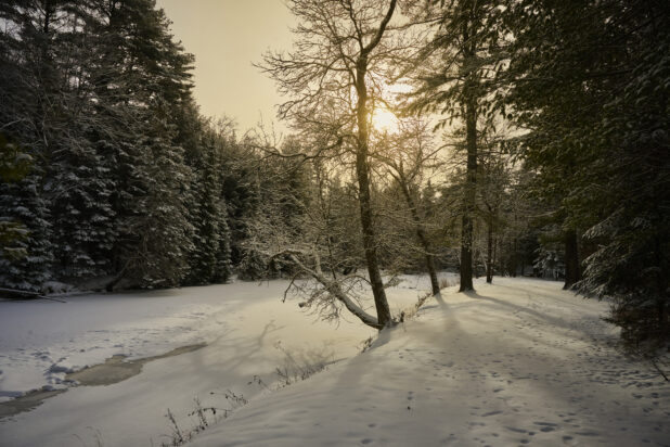 View of a Snowy Landscape with Snow Covered Pine Trees Along a Frozen Riverbank with the Sun Peeking Through Grey Skies – Variation 2
