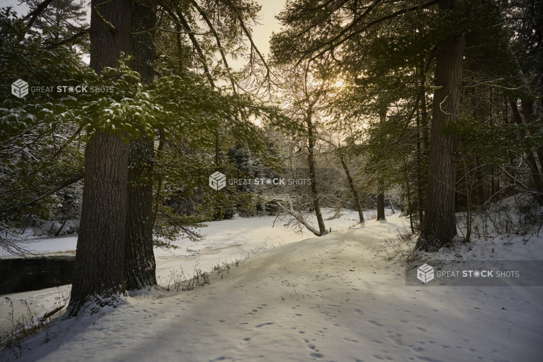 View of a Snowy Landscape with Snow Covered Pine Trees Along a Frozen Riverbank with the Sun Peeking Through Grey Skies - Variation