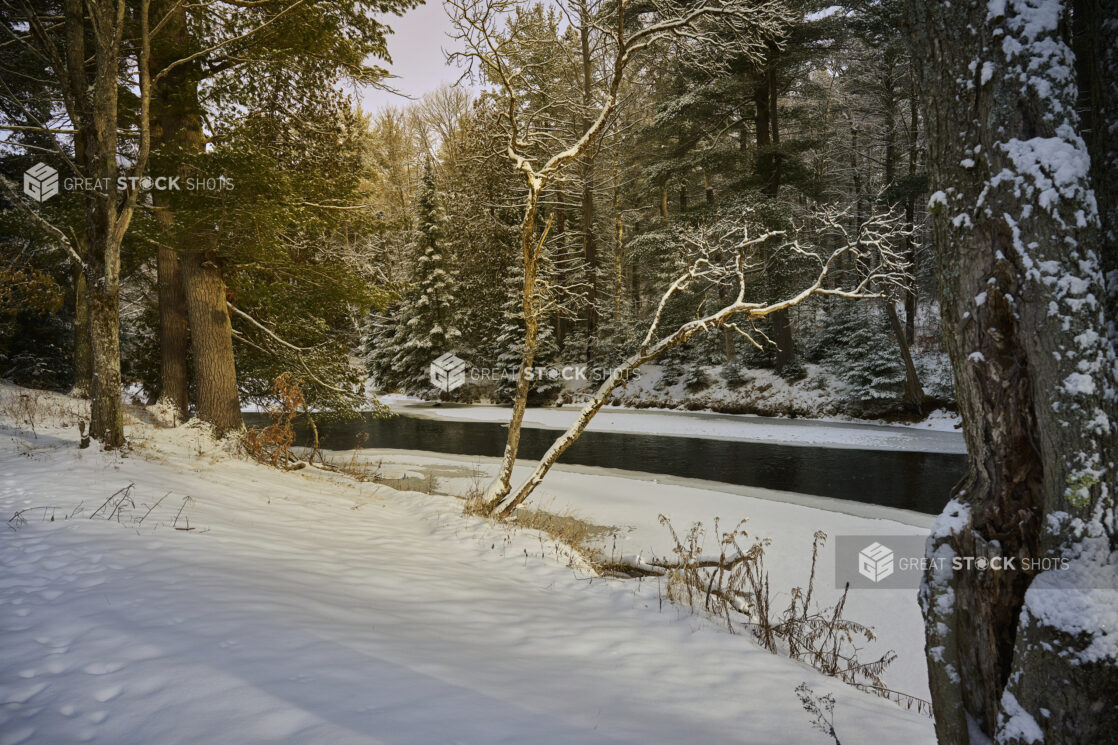 Snow Covered Riverbank and Partially Frozen River on the Edge of a Pine Tree Forest in Cottage Country, Ontario, Canada