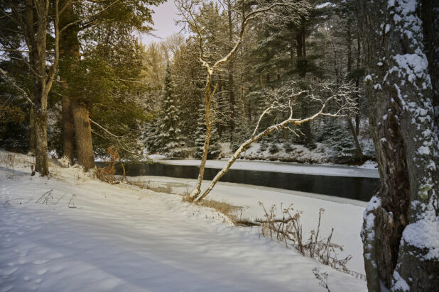 Snow Covered Riverbank and Partially Frozen River on the Edge of a Pine Tree Forest in Cottage Country, Ontario, Canada