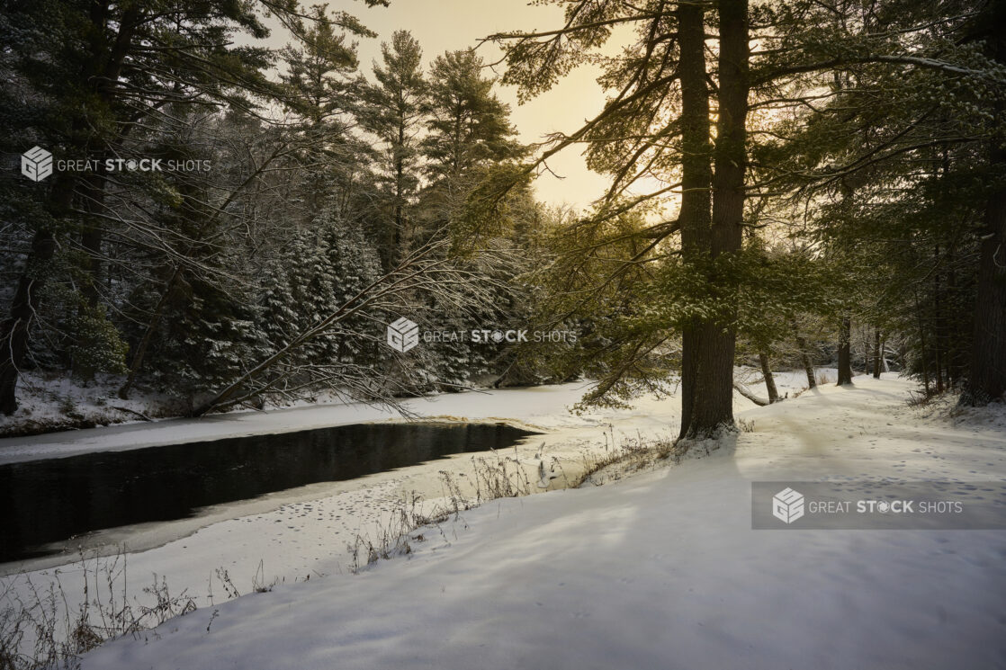 View of a Snowy Landscape with Snow Covered Pine Trees Along a Frozen Riverbank with the Sun Peeking Through Grey Skies