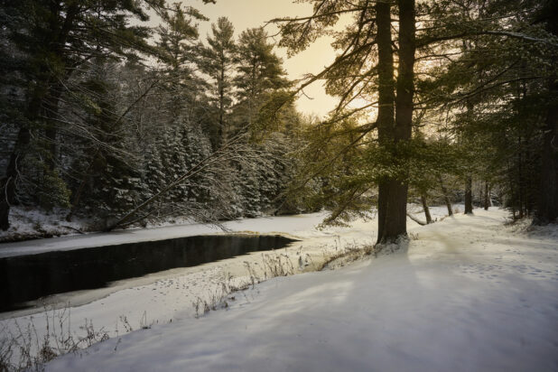 View of a Snowy Landscape with Snow Covered Pine Trees Along a Frozen Riverbank with the Sun Peeking Through Grey Skies