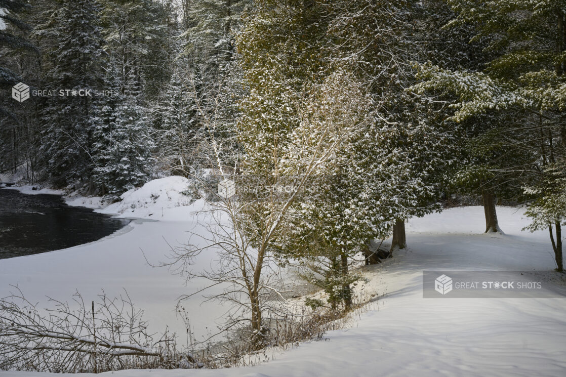 Snow Covered Pine Trees and a Partially Frozen Lake in Cottage Country, Ontario, Canada