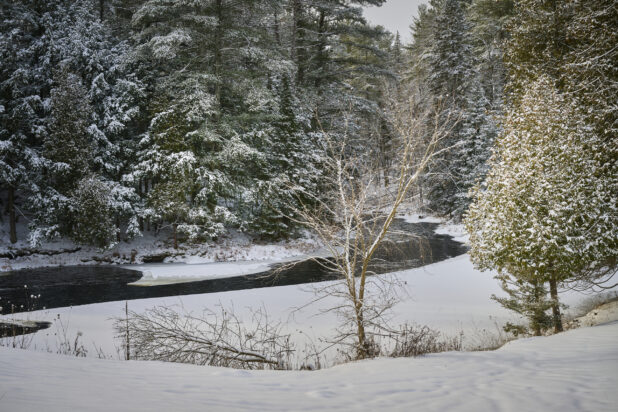 View Along a Partially Frozen River Lined With Snow Covered Pine Trees in Cottage Country, Ontario, Canada