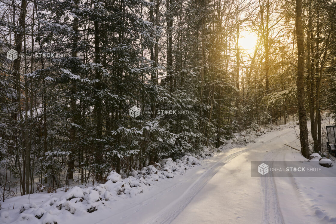 View Up a Snow Covered Road Lined with Evergreens in Cottage Country, Ontario, Canada