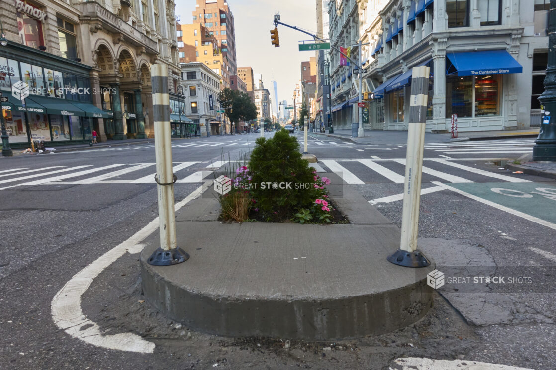 View of a Flowerbed in a Median on a Deserted Street in Manhattan, New York City During Lockdown
